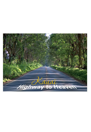 50-Pack Kauai Postcards, Tree Tunnel, 4x6