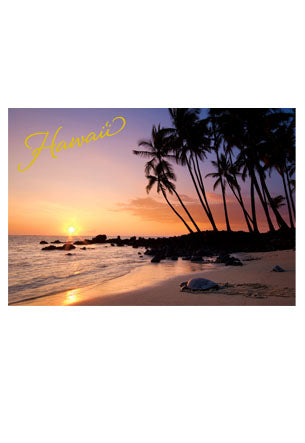 50-Pack Big Island Postcards, Turtle at Sunset, 4x6