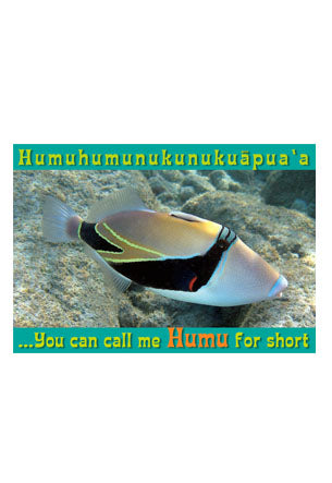 50-Pack Hawaii Generic Postcards Hawaii's State Fish 4x6