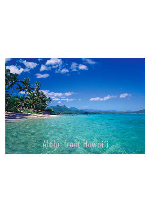 50-Pack Generic Postcards Beautiful Beach in Hawaii 4x6
