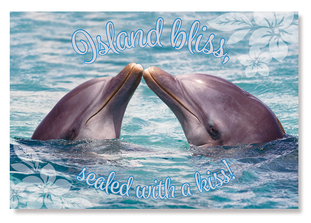 50-Pack Hawaii Generic Postcards Dolphin Kisses 4x6