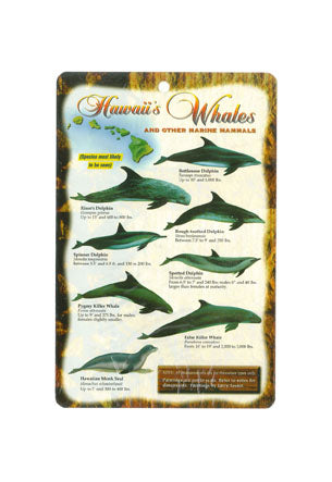 Hawaii Whales & Marine Mammals Information Postcard