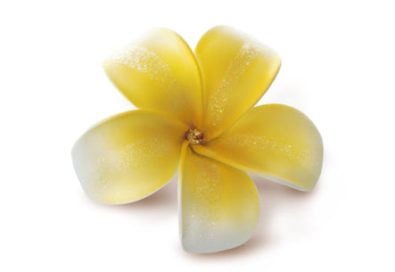 Single Foam Hair Clip, Plumeria Bling