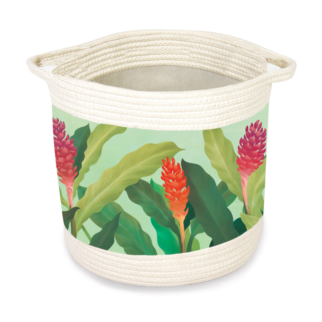 Storage Baskets, Ginger Paradise