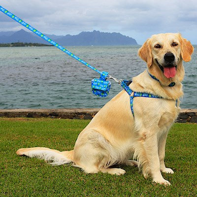Pet Harness - Pineapple Aloha