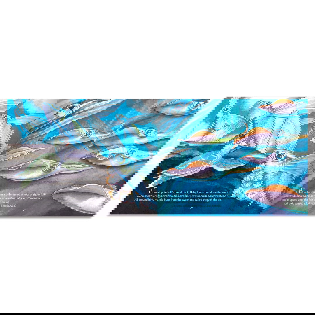 Baby Honu's Incredible Journey