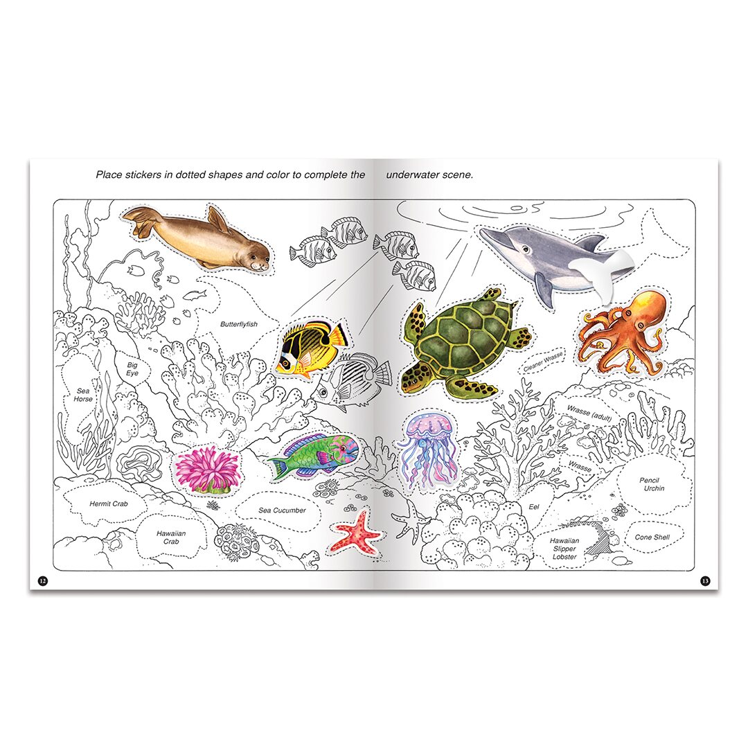 C&A Hawaiian Marine Life