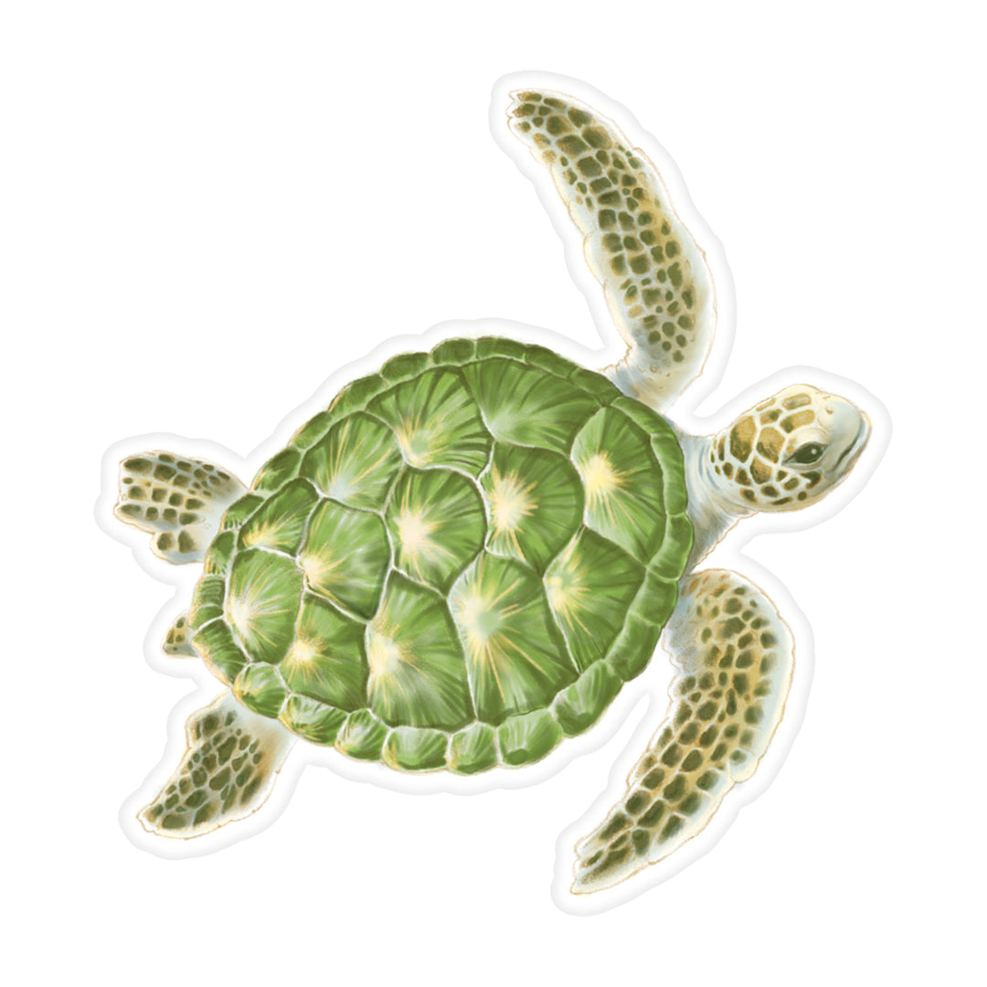 Decal Square, Honu Voyage Square