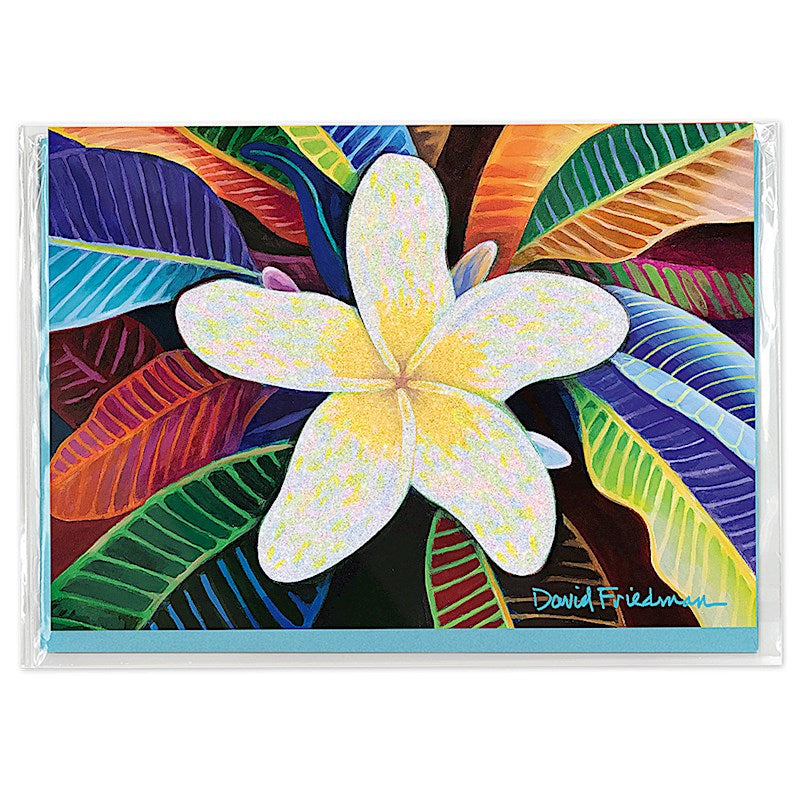 Greeting Card, Plumeria Mandala, David Friedman
