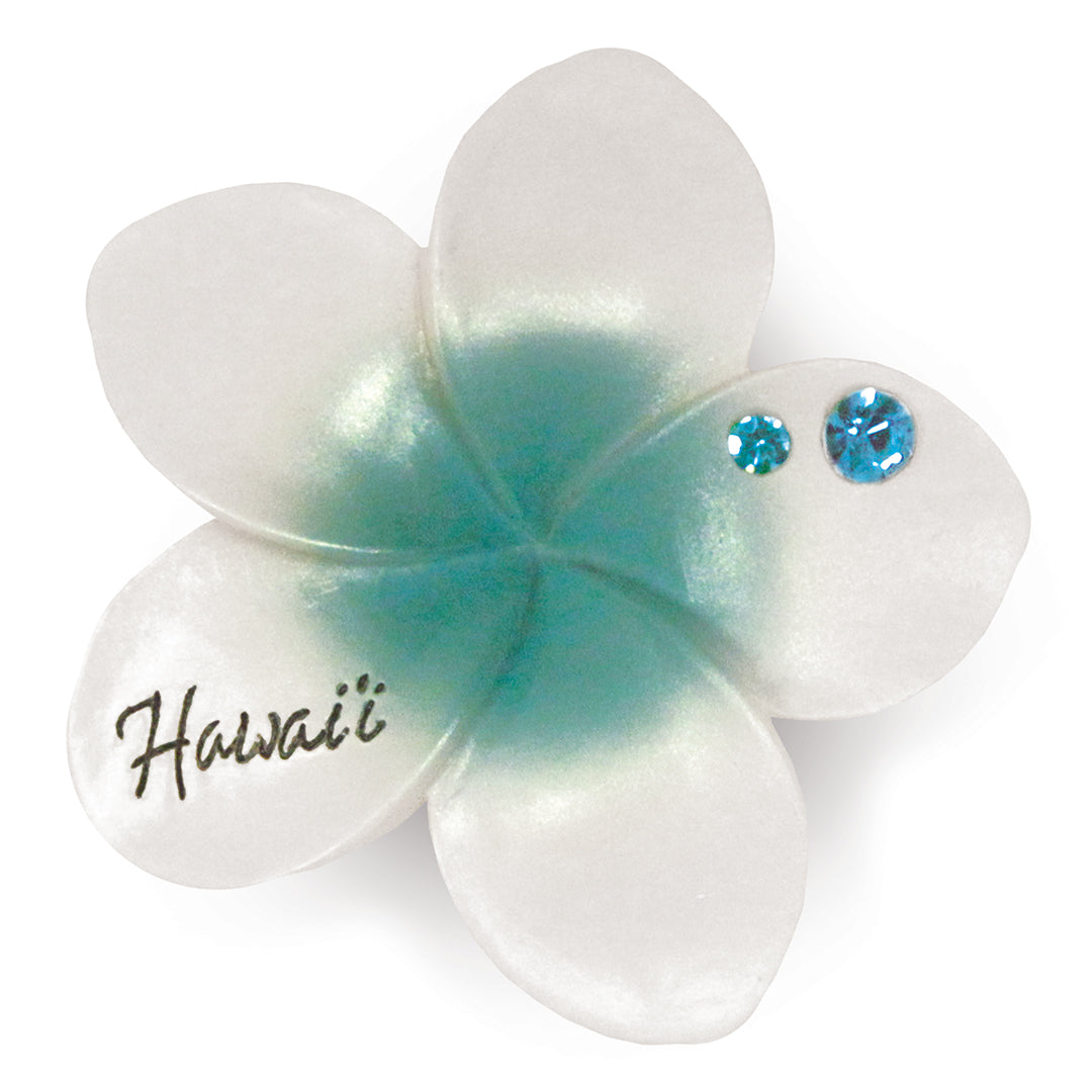 Hand Painted Polyresin Magnet, Plumeria - Hawaii - Teal