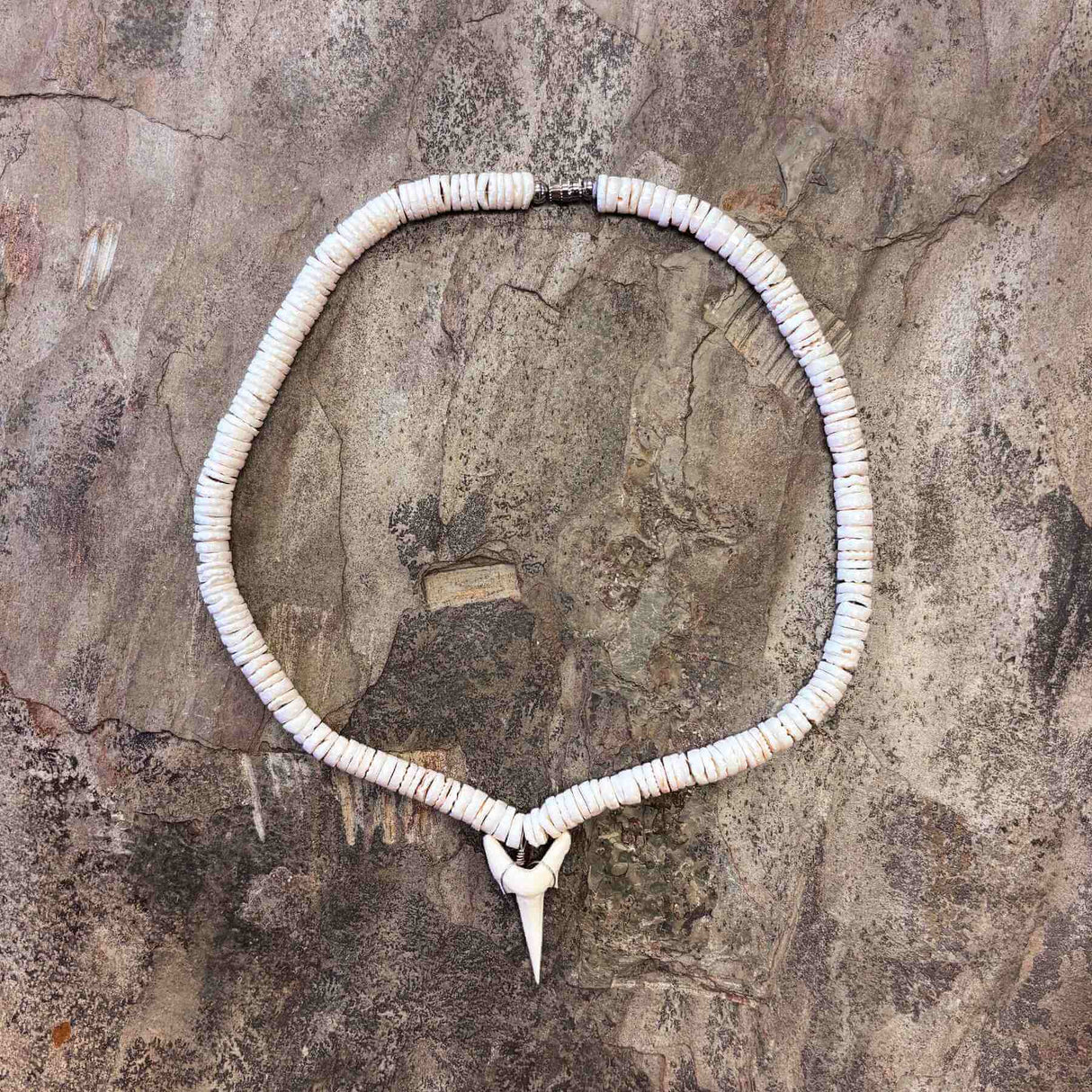 Hawaiian-style necklace featuring a sharktooth needle pendant and white clam shell accents