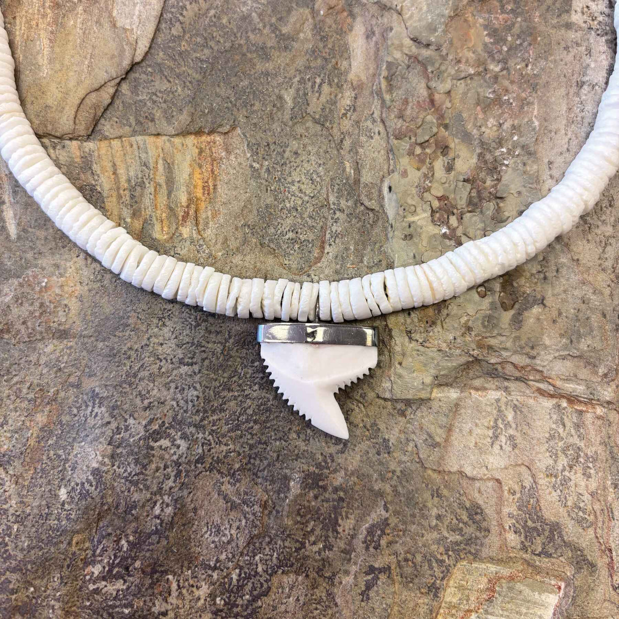 White clam shell necklace with natural sharktooth pendant and screw-on clasp