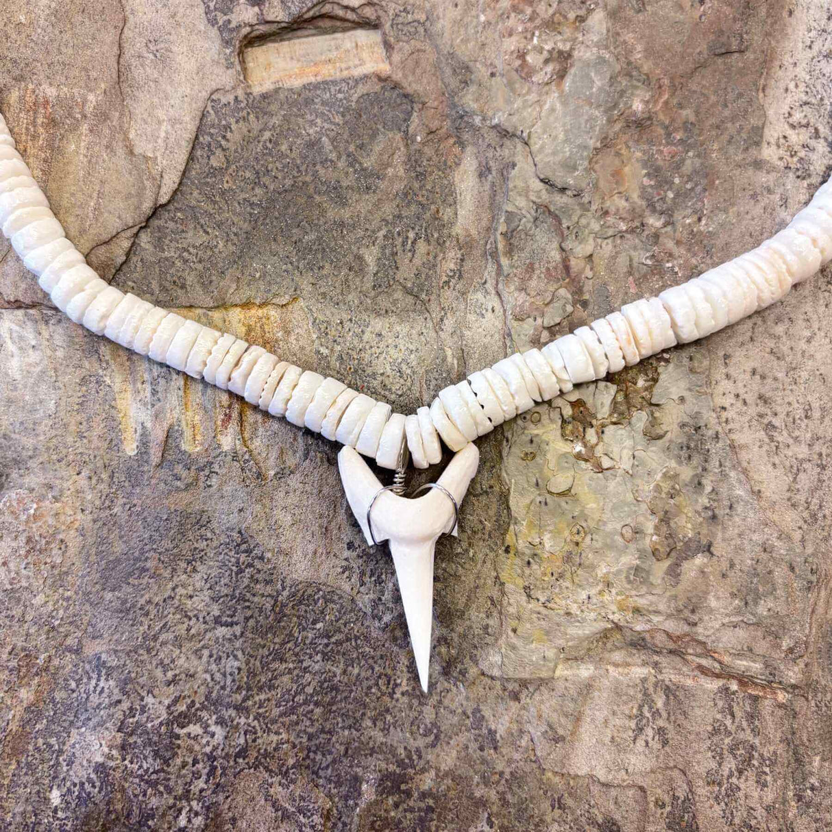 Sharktooth needle and white clam shell necklace with natural island-inspired design