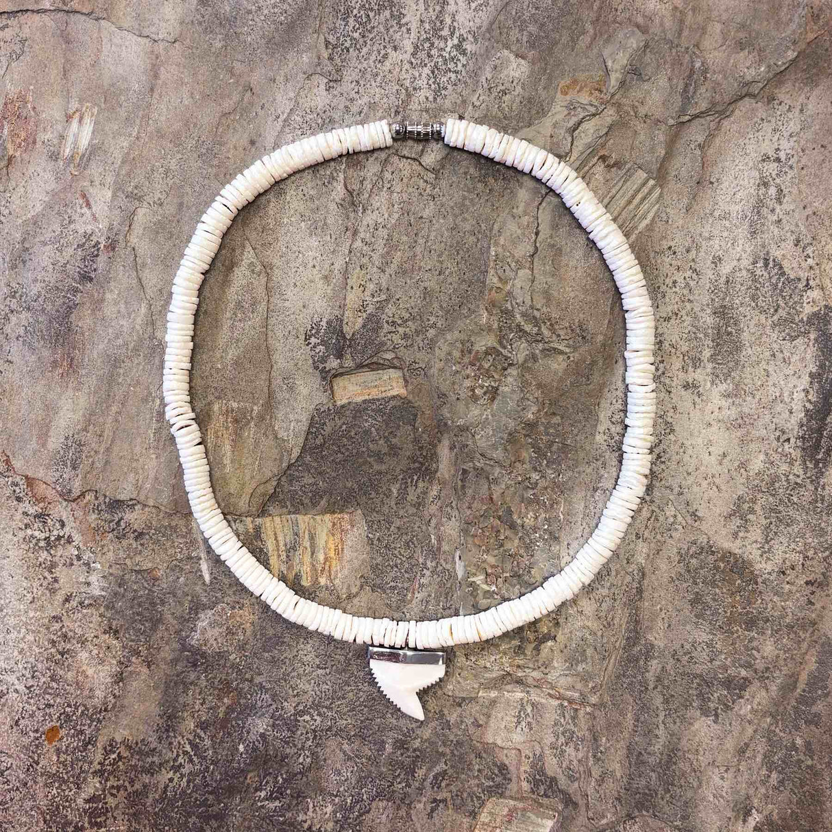 Hawaiian-style necklace with sharktooth pendant and white clam shells from the South Pacific
