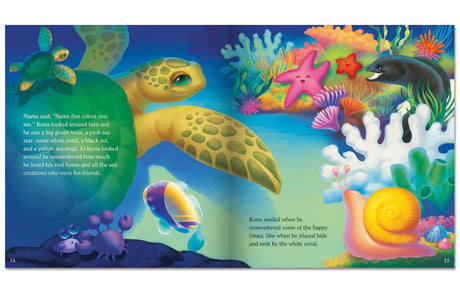 Kona and His Hard Shell