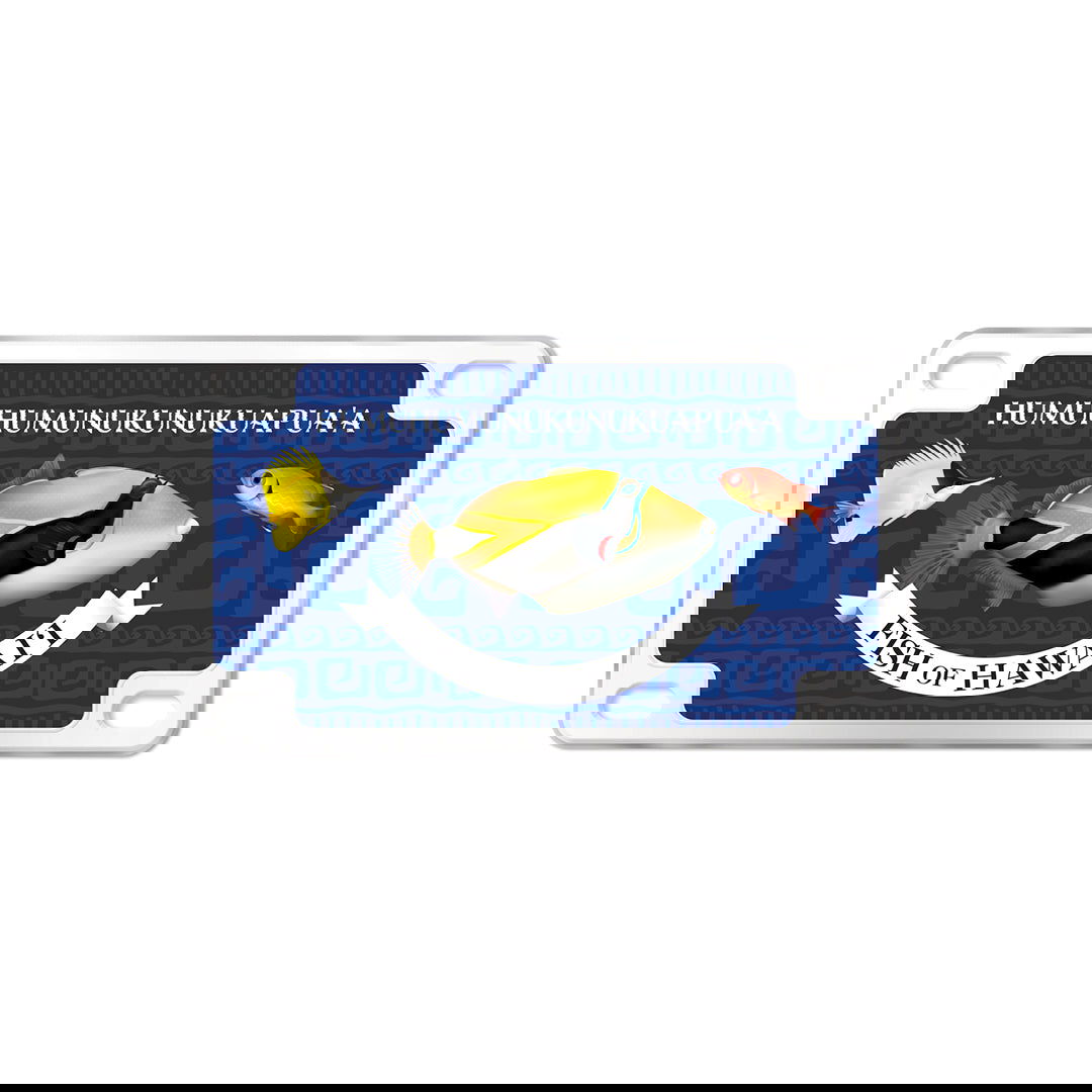 Magnet, License Plate - Tropical Fish