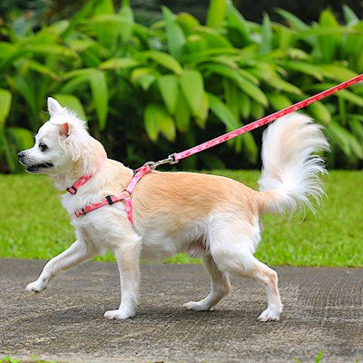 Pet Harness - Princess Paws