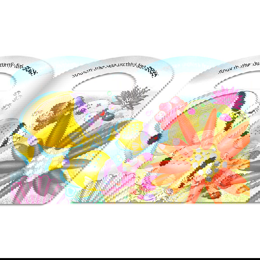 Seashore, Touch-n-See Hawai‘i