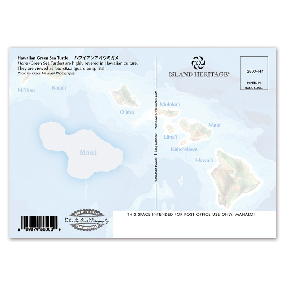 Hawaiian green sea turtle postcard with map and branding