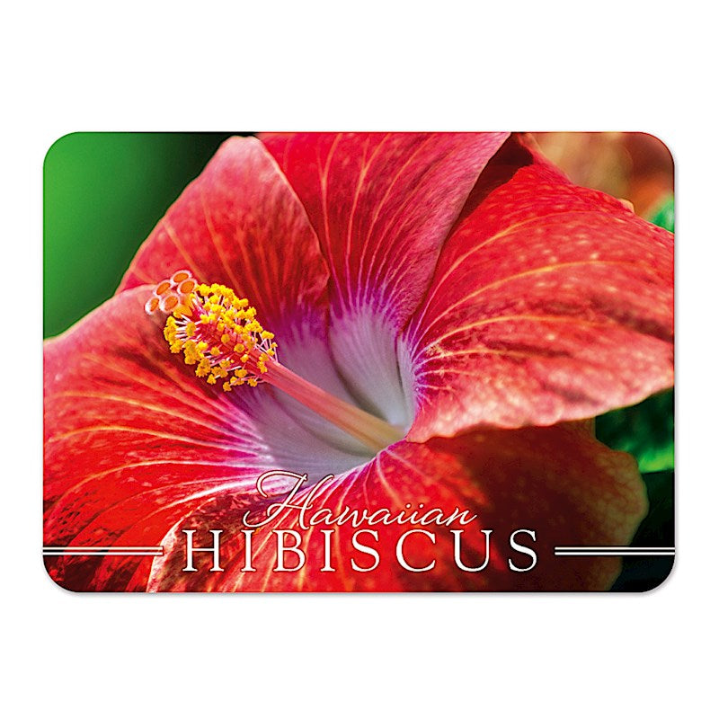 Coral Hibiscus Die-Cut Tin Picture Magnet
