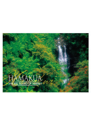 50-Pack Big Island Postcards, Waterfall in Hamakua, 4x6