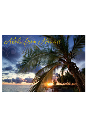 50-Pack Hawaii Generic Postcards Palm Sunset 4x6