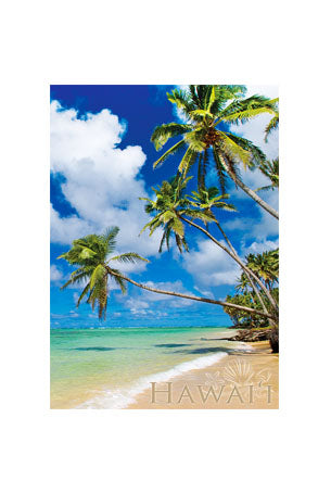 50-Pack Hawaii Generic Postcards Tropical Beach 4x6