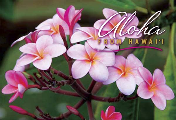 50-Pack Hawaii Generic Postcards Aloha 4x6