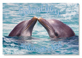 50-Pack Hawaii Generic Postcards Dolphin Kisses 4x6