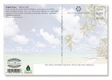 50-Pack Hawaii Generic Postcards Dolphin Kisses 4x6