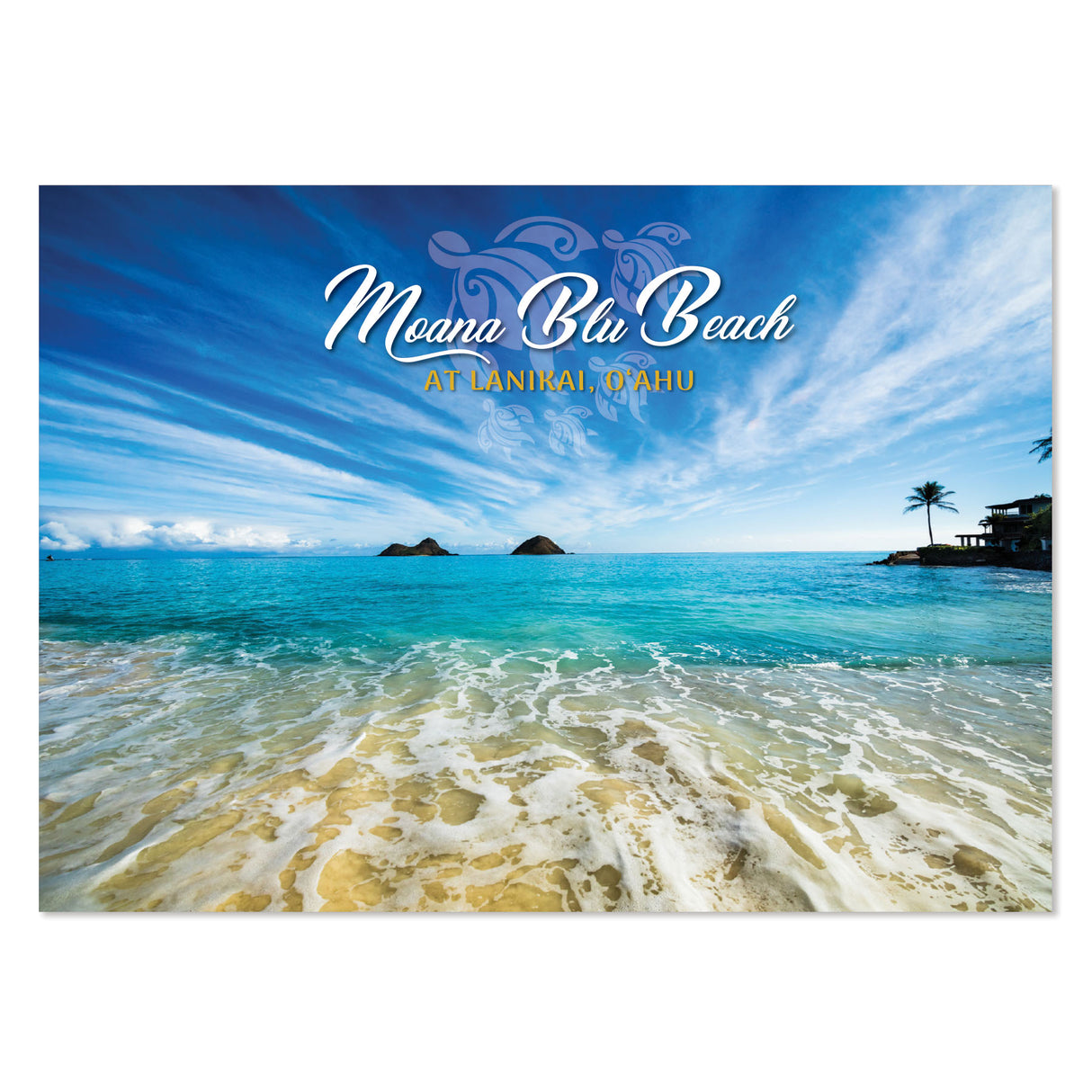 25-Pack Oahu Postcards Moana Blu Beach 5x7