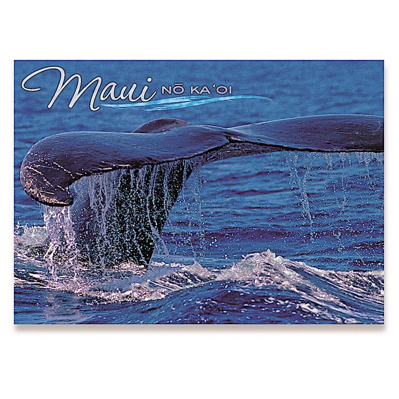 3D Lenticular 5x7 Postcard, Whale Tail 1-Piece