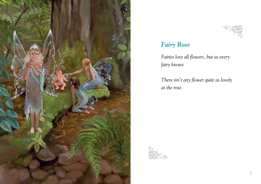 Fairies In My Hat Poetry Book
