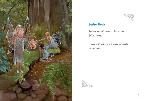 Fairies In My Hat Poetry Book