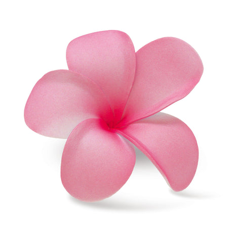 Single Foam Hair Clip, Plumeria