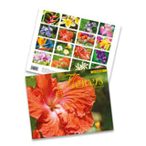 2027 Trade Calendar, Flowers of Hawai‘i