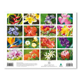 2027 Trade Calendar, Flowers of Hawai‘i
