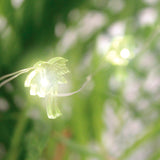 Decorative String LED Lights, Palm Tree