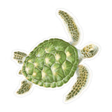 Decal Square, Honu Voyage Square