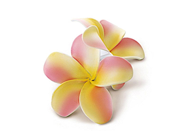 Foam Double Plumeria Clip, Pink & Yellow  