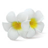 Foam Double Plumeria Clip, White & Yellow  