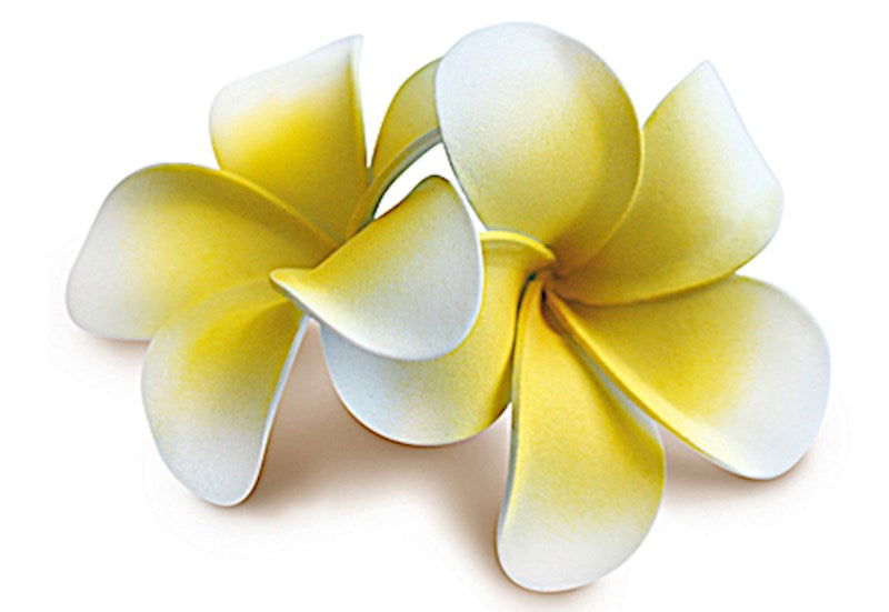 Foam Double Plumeria Clip, Yellow w/ White Edges  