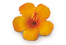 Foam Hibiscus Clip, Orange  