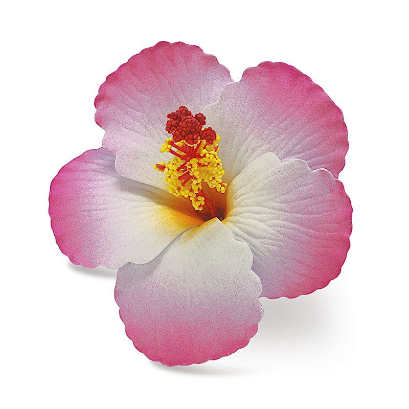 White Foam Hibiscus Hair Clip, Large