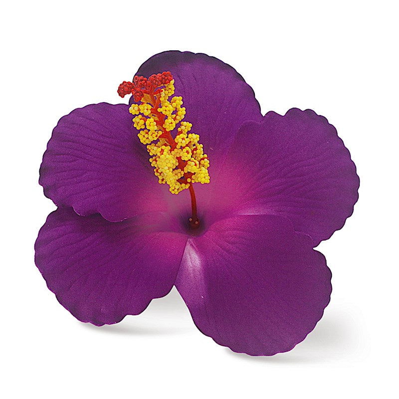 Foam Hibiscus Clip, Purple  