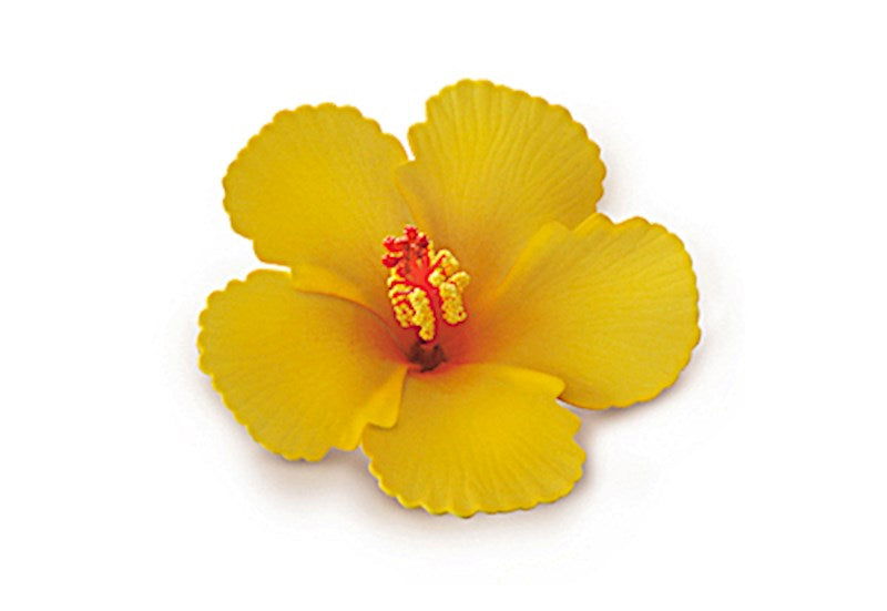 Foam Hibiscus Clip, Yellow  