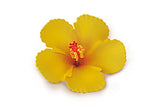 Foam Hibiscus Clip, Yellow  