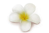 Foam Single Plumeria Clip, White w/ Yellow  