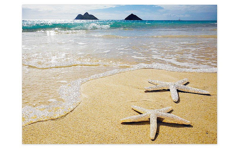 Greeting Card, Lanikai Starfish, Teri Lathrop