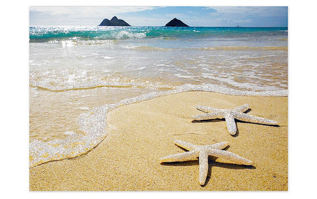 Greeting Card, Lanikai Starfish, Teri Lathrop